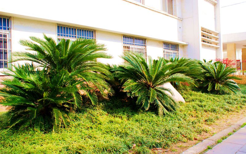 荆州理工职业学院高职单招