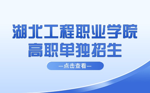 2024年湖北工程职业学院高职单独招生专业