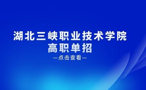 2024年湖北三峡职业技术学院高职单招招生计划