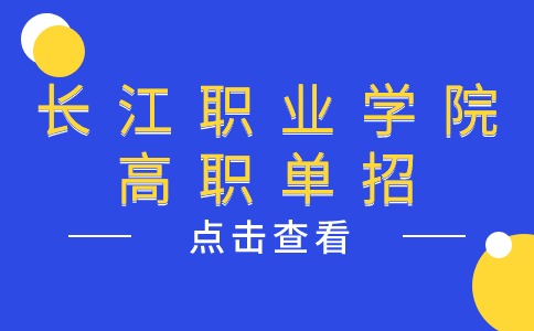 2024年长江职业学院高职单招录取分数线