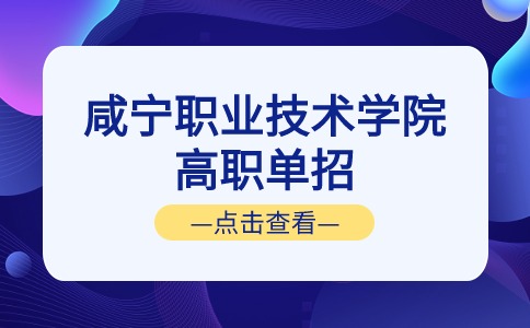 咸宁职业技术学院高职单招