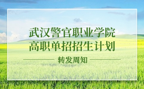 2024年武汉警官职业学院高职单招招生计划