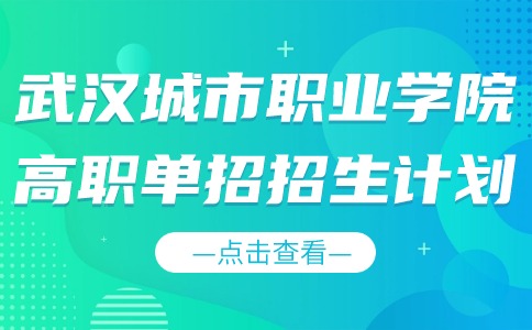 武汉城市职业学院2024年高职单招招生计划